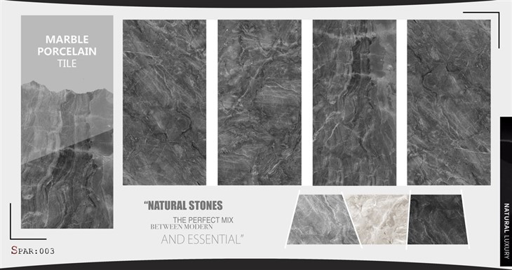 Black Luxury Polished Tiles II